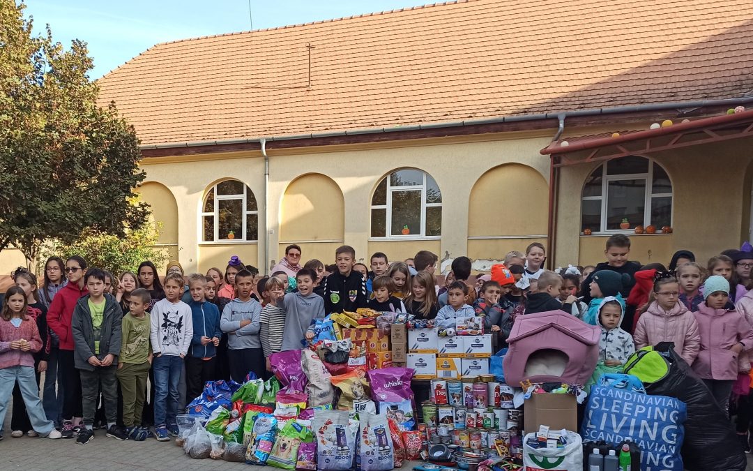 Tárgyi adománygyűjtés a Kutyamentsvár Állatotthon részére – Erzsébet telep, felső tagozat