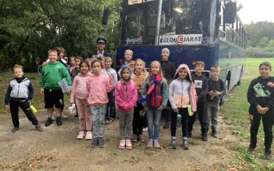 Kihelyezett természetismeret órán járt a 3.c